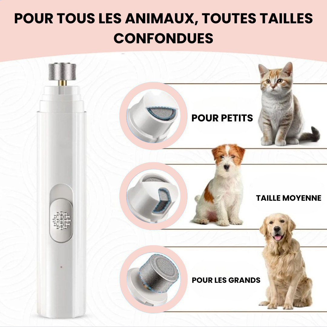 Lime électrique pour animaux